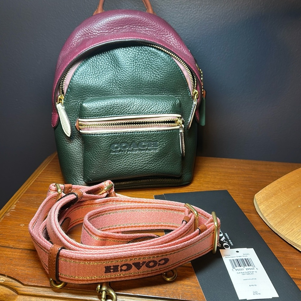 Coach Charter Backpack 18 In Colorblock